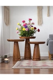 Resim AYLESA Doğal Ahşap 3’lü Set Mantar Yan Sehpa Modern Ceviz Renk Fiskos Zigon Çiçeklik 