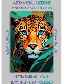 Resim Metal Tablo 3'lü Set, Doğal Hayvanlar, Kuş, Kaplan, Papağan, Egzotik Dekoratif 