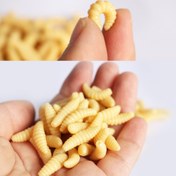 Resim YENİ 50/100 adet 2cm / 0.3g Solucan Grubu Yumuşak Balıkçılık Yemi Ok İğneleri Kokulu Solucanlar Parlayan Karides Balık Yemleri 