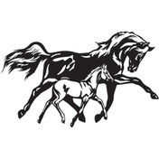 Resim At Ve Yavrusu Tip 1 90x54 Cm 