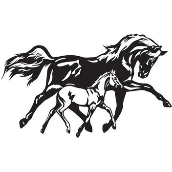 At Ve Yavrusu Tip 1 100x60 Cm