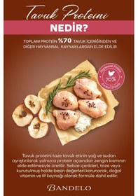 Resim Bandelo Tavuklu Yavru Kuru Kedi Maması 2 Kg - Gelişim & Güçlü Desteği - Koku Önleyici Etkili 