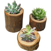 Resim Geeroyoo El Yapımı Ahşap Saksı Seti - Ev, Bahçe Dekorasyonu İçin 3 Farklı Boyutta Ağaç Kabuğu Şekilli Çok Amaçlı Süs Eşyası 