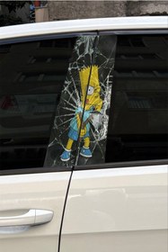 Resim evalion Simpson Kapı Direk Kaplama 