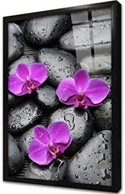 Resim Spa Taşları ve Orkide Çerçeveli Cam Tablo 20x30 cm CA23199 