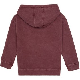 Resim U.S. Polo Assn. U.s. Polo Assn. Erkek Çocuk Plum Sweatshirt 50315750-vr177 New Plum 