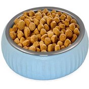 Resim Mikopet Organik Seramik Mama Kabı Mavi 