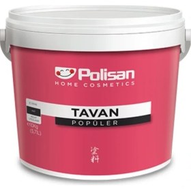 Resim Polisan Popüler Tavan Boyası 10 kg 