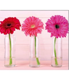 Resim Olinpa Cam Ocak Arkası Koruyucu | Çiçek 