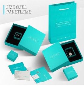 Resim 1.00 Karat Effective Diamond Koronet Tektaş Gümüş Küpe 