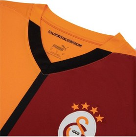 Resim Puma Galatasaray S.k. 24/25 Erkek İç Saha Forması 779650 01 Kırmızı 