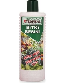 Resim Tropikal Besin Bitkisi Yeşil Yapraklar İçin 1000 Ml 