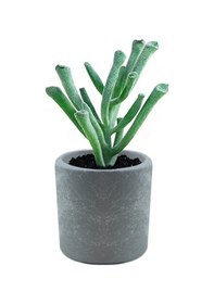 Resim Beton Saksı Silikon Kalıp - 158 