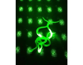 Resim Şaka Yılan ve Kırkayak Karışık 36 Adet 