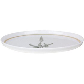 Resim Porland Botanical Desen1 Düz Tabak 21cm 04alm005040 