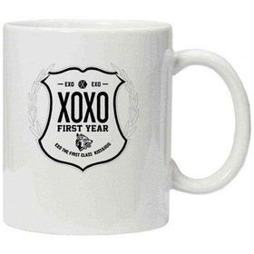 Resim Kupa Bardak Kpop Exo First Year Xoxo K Pop 