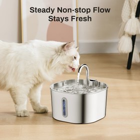 Resim Kedi Su Çeşmesi: Paslanmaz Çelik Evcil Hayvan Su Çeşmesi İç Mekan Metal Otomatik Sulama Kedi/Köpek İçme Kabı Musluk Şişesi Su Besleyici 2.2L/74oz İşletme Su Dağıtıcısı Ultra Sessiz Pompa ile Filtre 
