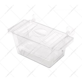 Resim ATLANTİK Atlantik Tekli Kristal Yavruluk 