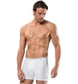 Resim Erdem Gri Boxer 1431 Beyaz 