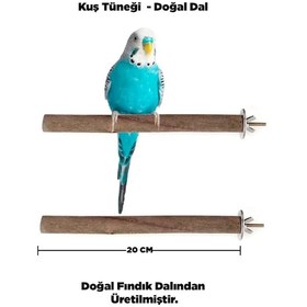 Resim Doğal Ahşap Kuş Tüneği 20 Cm - Gerçek Fındık Dalı 