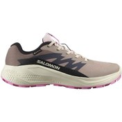 Resim Salomon Alpha Glide Gtx W Gore-tex L47857900 Erkek Spor Ayakkabı Pudra 