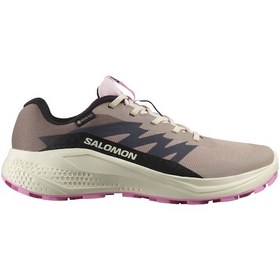 Resim Salomon Alpha Glide Gtx W Gore-tex L47857900 Erkek Spor Ayakkabı Pudra 