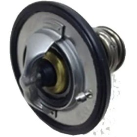 Resim Chery Niche-Termostat 