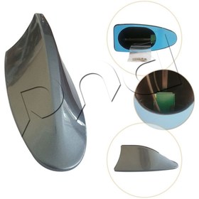 Resim Eng köpek balığı ant 