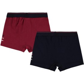 Resim Civil Boys Bike 2-10 Yaş Erkek Çocuk 2'li Boxer - Standart / 2-3 Yaş 