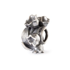 Resim İnci Çiçeği 