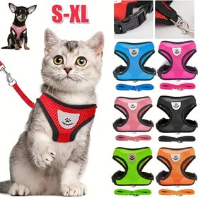 Resim Kedi Tasma Takımı Yürüyüş Tasma Ayarlanabilir Kedi Yelek Tasma Yansıtıcı Küçük Köpek Tasma 
