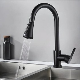 Resim Fleko Siyah Kuğu Spiral Eviye Batarya Ks10S01C 