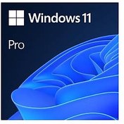 Resim Windows OEM 11 Pro 64Bit İngilizce 