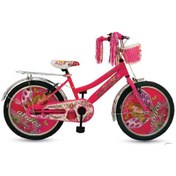 Resim Arnica 2005 20" Jant Kapaklı Çocuk Bisikleti 