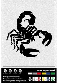 Resim Akrep Stıcker 10 X 10 Cm 