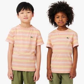 Resim Lacoste Çocuk Bisiklet Yaka Çizgili Kahverengi T-Shirt 