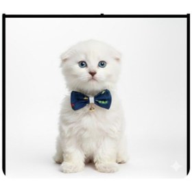 Resim Flypet Tırtıl Desen Papyon Kedi Tasma & Yavru Köpek Tasma 13cm-24cm 