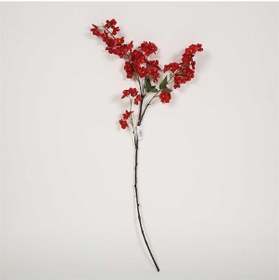 Resim Vitale Kiraz Çiçeği Red Kiray Çiçek 20 100 9 Cm 