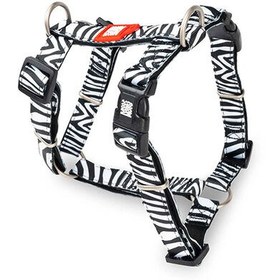 Resim Max Molly Zebra Desenli Köpek Göğüs Tasması (Small) 