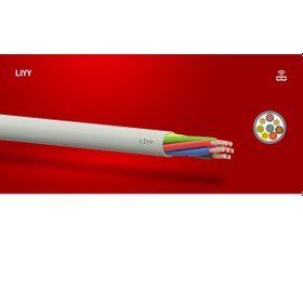 Resim Lıyy Sinyal ve Kontrol Kablosu Çok Telli Nyaf X0.22 1 M 2X0.22 MM 