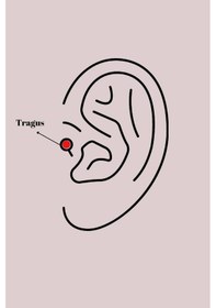 Resim Ceylan Adam 316l Çelik Gümüş Renk Zirkon Taşlı Yonca Tragus Piercing Çok Renkli 