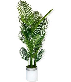 Resim Cihan Çiçekçilik Areka Yapay Ağaç 180 Cm 