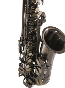 Resim Roy Benson AS-202A Alto Saksafon 