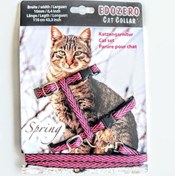 Resim Edozero Kedi Göğüs Tasma Takım M Pembe 