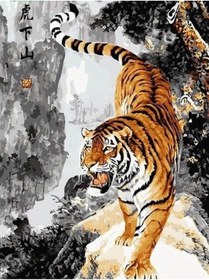 Resim wombhobby Bengal Kaplanı Sayılarla Boyama Seti 80x100 Cm Çerçevesiz RULO ( Kasnaksız ) 