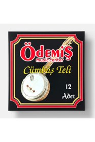 Resim ödemiş Cümbüş Takım Tel 