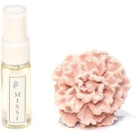 Resim Pembe Karanfil Taşlı Vanilya Sandal Araba/araç Kokusu 20 Ml Esans İle Birlikte 