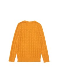 Resim U.S. Polo Assn. Erkek Çocuk Hardal Basic V Yaka Kazak 50293535-VR072 