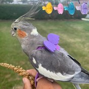 Resim 1 adet Pet Papağan Kuş Koşum Takımı, Ayarlanabilir Eğitim Tasarımı Anti-Isırma Kuş Naylon İpi, Ayarlanabilir Kuş Koşum Takımı, Papağan Uçan İp Askıları, Küçük Papağanlar İçin Açık Hava Eğitim Çekiş İpi 