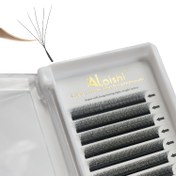 Resim ALAISHI 5D Hazır Fan Kirpik Uzatma W Stili 0.07mm Sahte Mink Doğal Yumuşak Çiçek Kirpikler Otomatik Hacimli 